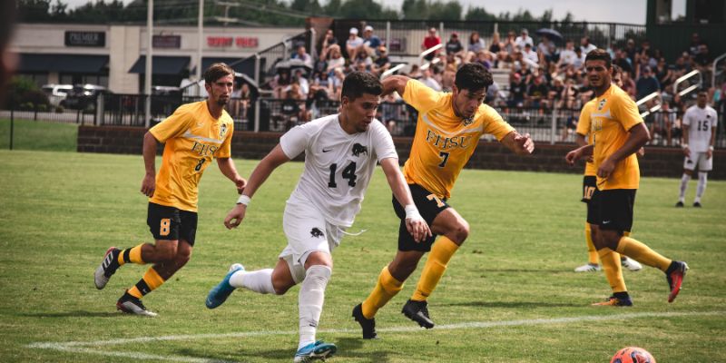 Công cụ hỗ trợ cho dự đoán bóng đá cúp C1